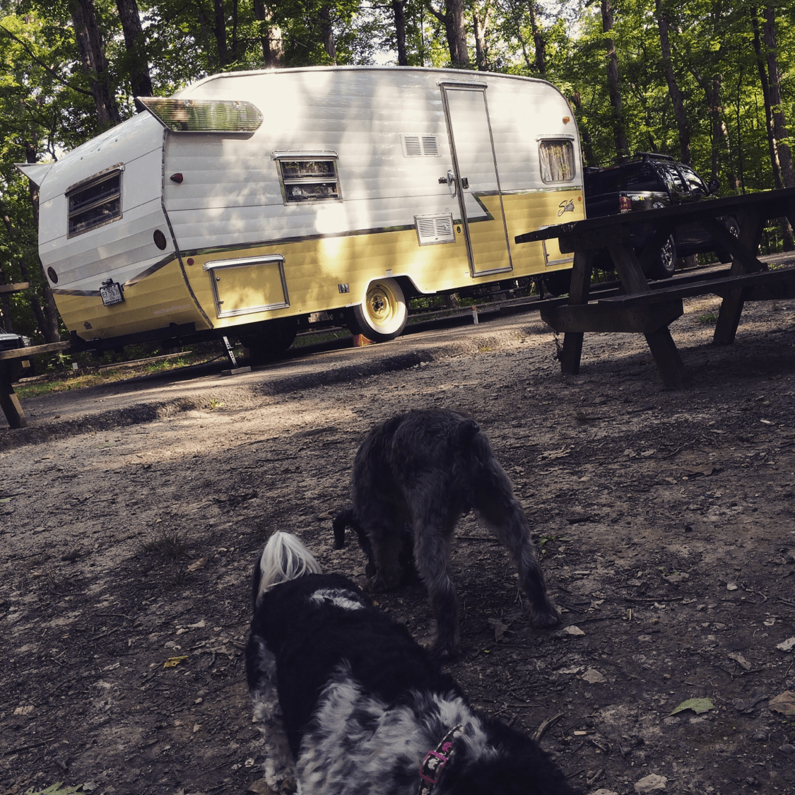 Versailles RV Parks Reviews and Photos